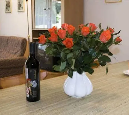 Felice Appartement *